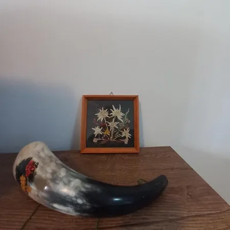 Winslow Highland - Giovanni, ул валевица 7 кв грамадето